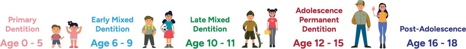 Growth and dentition age stages from early childhood through post-adolescence